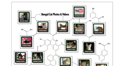 Desktop Screenshot of cats.eeberfest.net